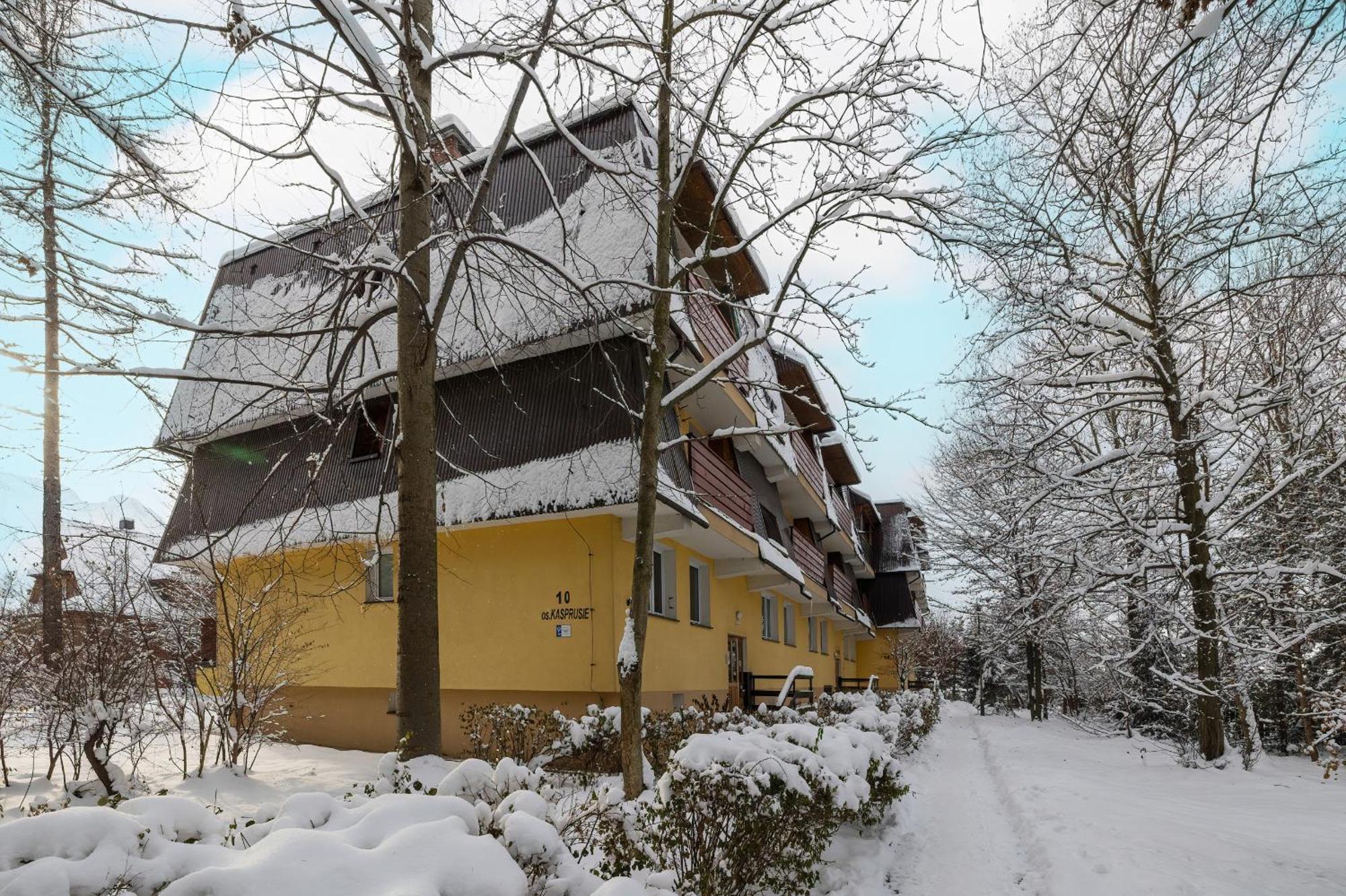 Apartment Mountain Corner In By Renters Zakopane